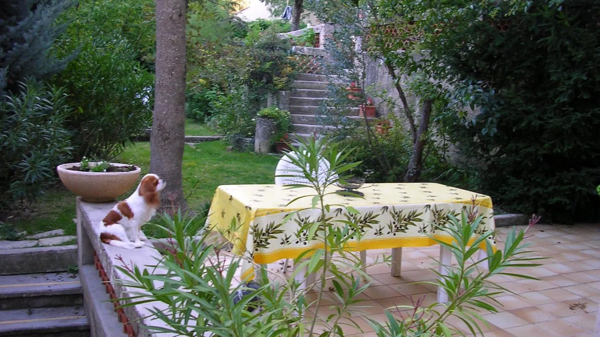 Le Jardin Apartment Greoux-les-Bains France